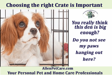 Chooso the right crate for your pet