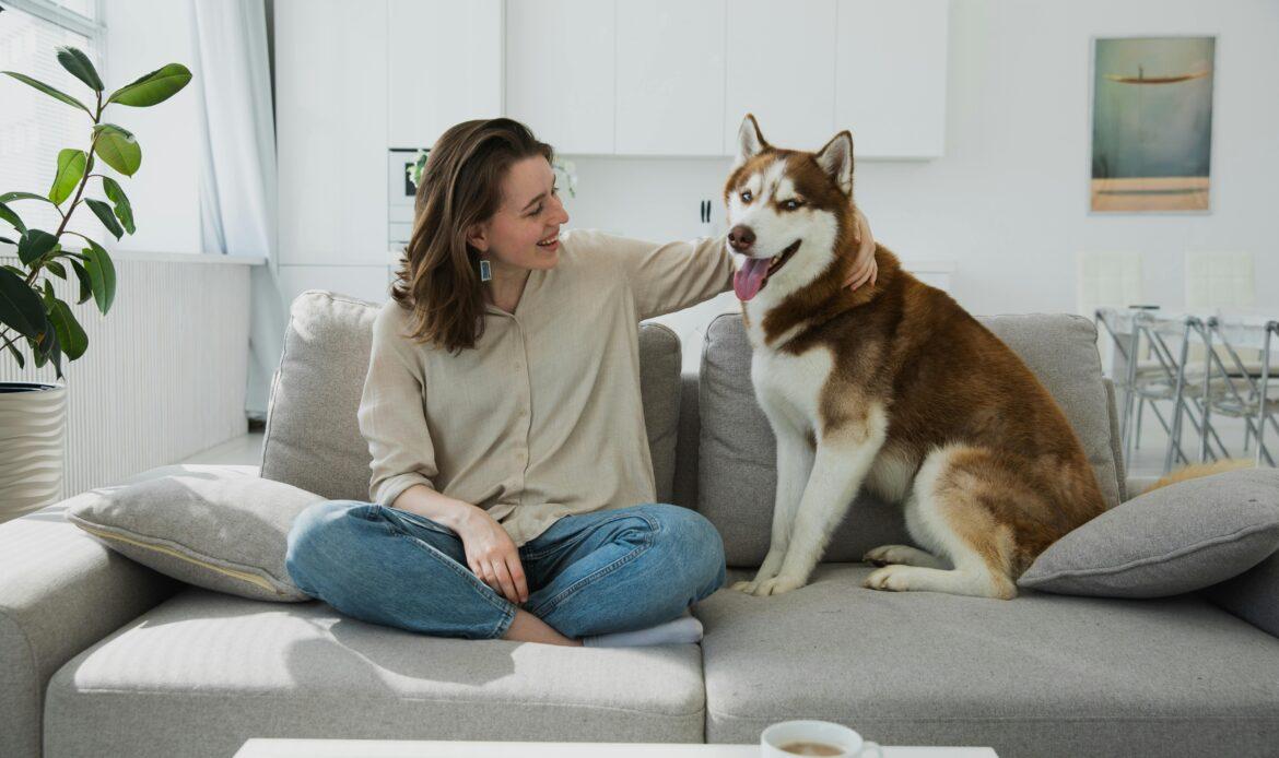 Importance of Routine for Pets