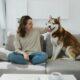 Importance of Routine for Pets