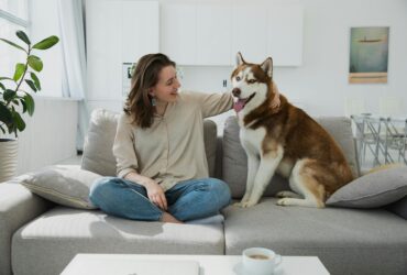 The Importance of Routine for Pets and How Allen Pet Sitters Can Help