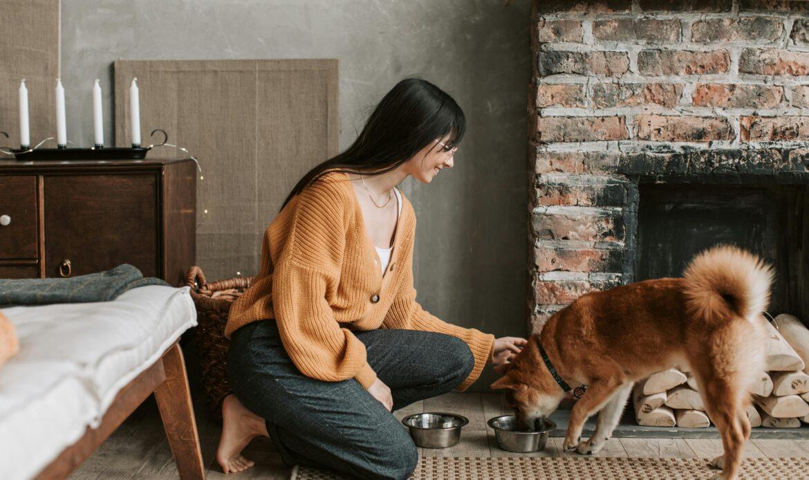 Importance of Routine for Pets