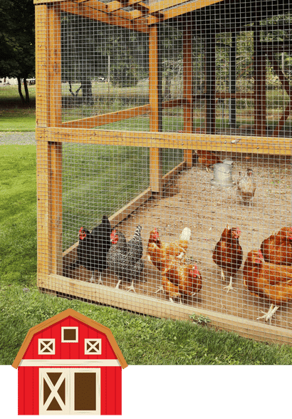 Reliable Rural Animal Care in Allen, Fairview, Parker, Lucas, Plano, McKinney, Texas