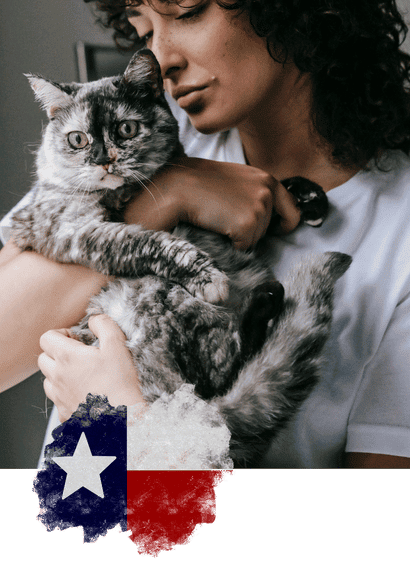 The Best Cat Sitters in Allen, Fairview, Parker, Lucas, Plano, McKinney, Texas