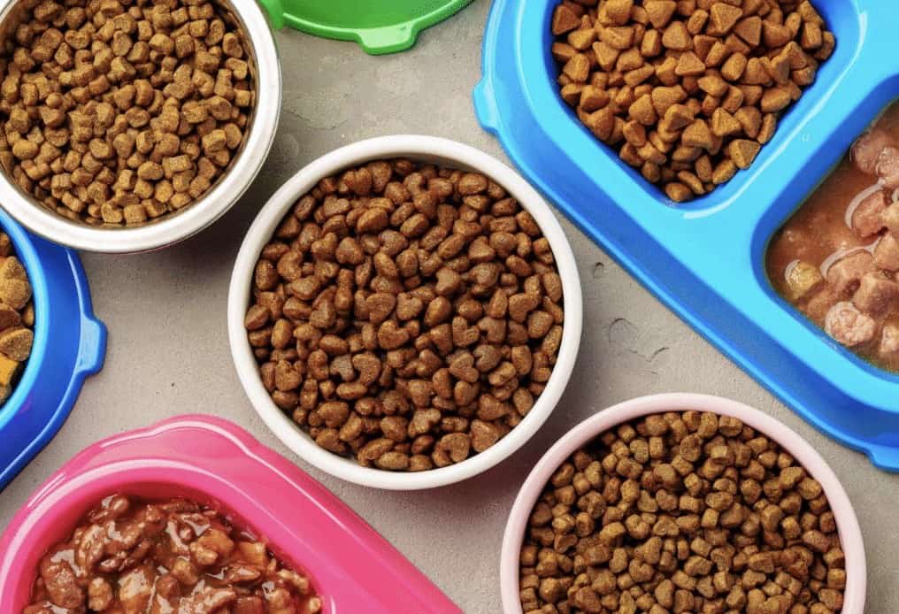 How Much To Feed Your Pet