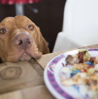 Say NO To Begging