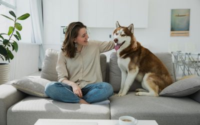 The Importance of Routine for Pets and How Allen Pet Sitters Can Help