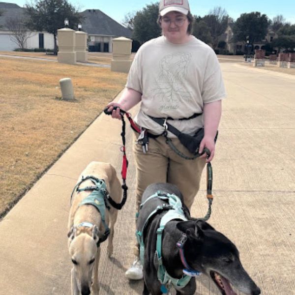 Milo Personal Home and Pet Care