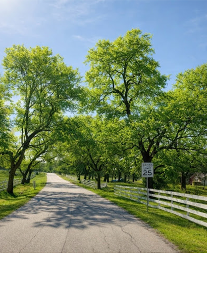 A quiet road in Parker, Texas that is perfect for dog walking
