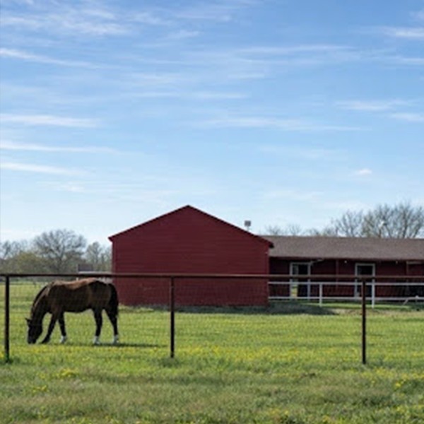 A rural horse farm in Lucas, TX